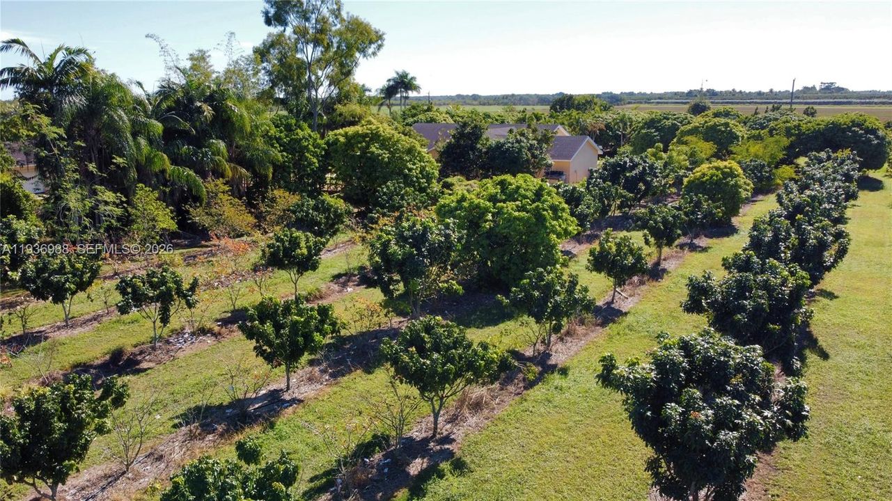 待售: $1,350,000 (4 贝兹, 4 浴室, 3291 平方英尺)