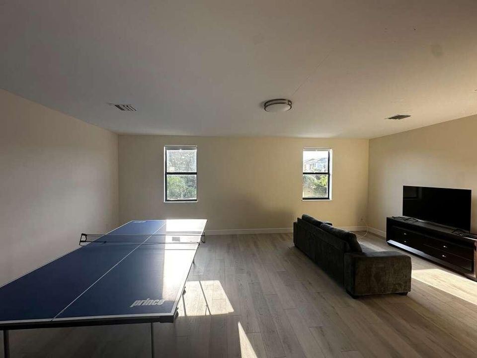 Home Theatre Area