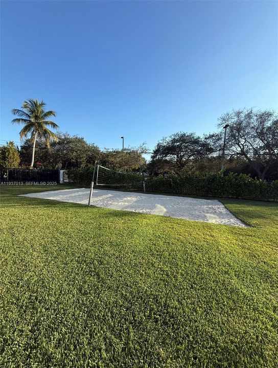 Volleyball Court