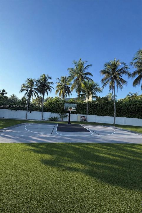Basketball Court