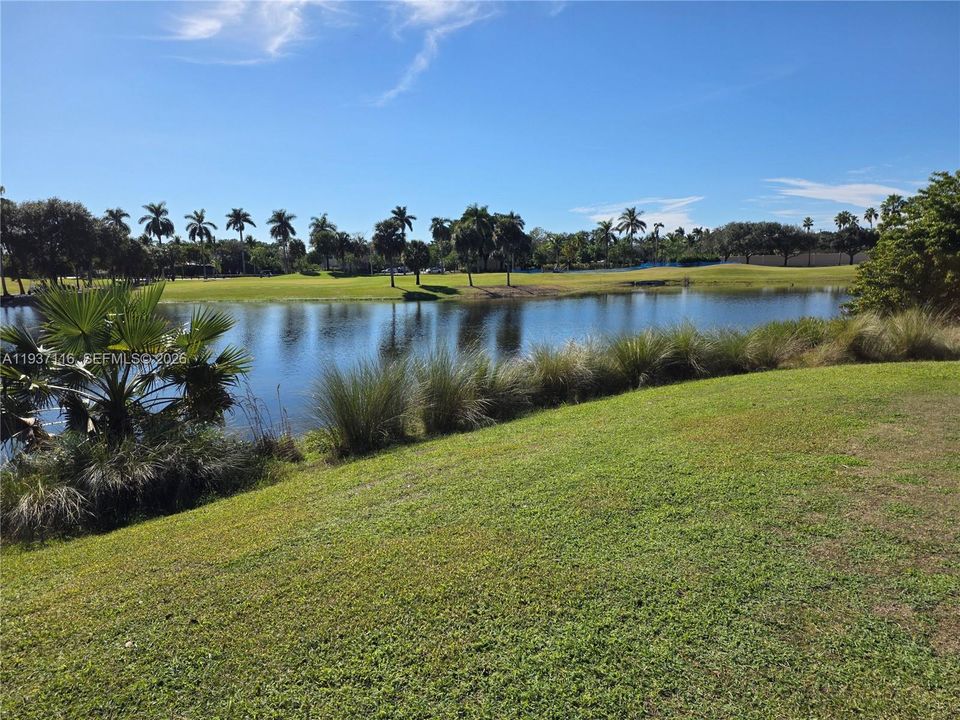 En Renta: $2,350 (2 camas, 2 baños, 954 Pies cuadrados)