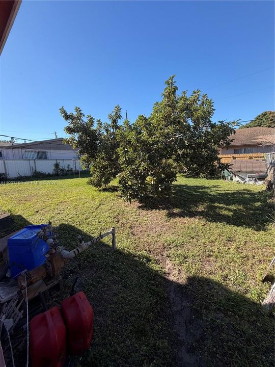 待售: $460,000 (3 贝兹, 1 浴室, 1165 平方英尺)