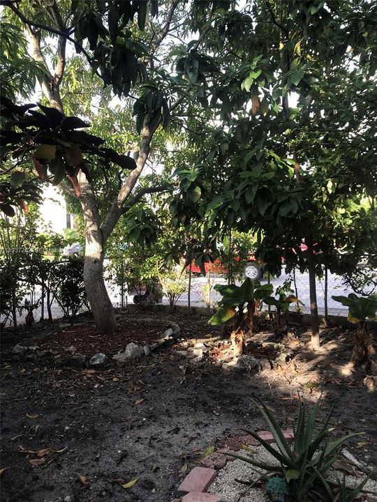 出租: $1,600 (1 贝兹, 1 浴室, 981 平方英尺)