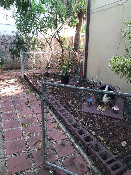 出租: $1,600 (1 贝兹, 1 浴室, 981 平方英尺)