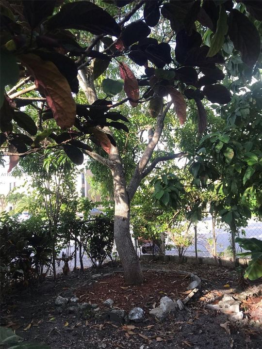 出租: $1,600 (1 贝兹, 1 浴室, 981 平方英尺)