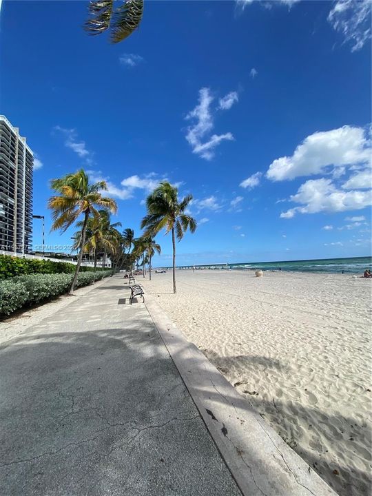 出租: $4,650 (3 贝兹, 2 浴室, 1784 平方英尺)