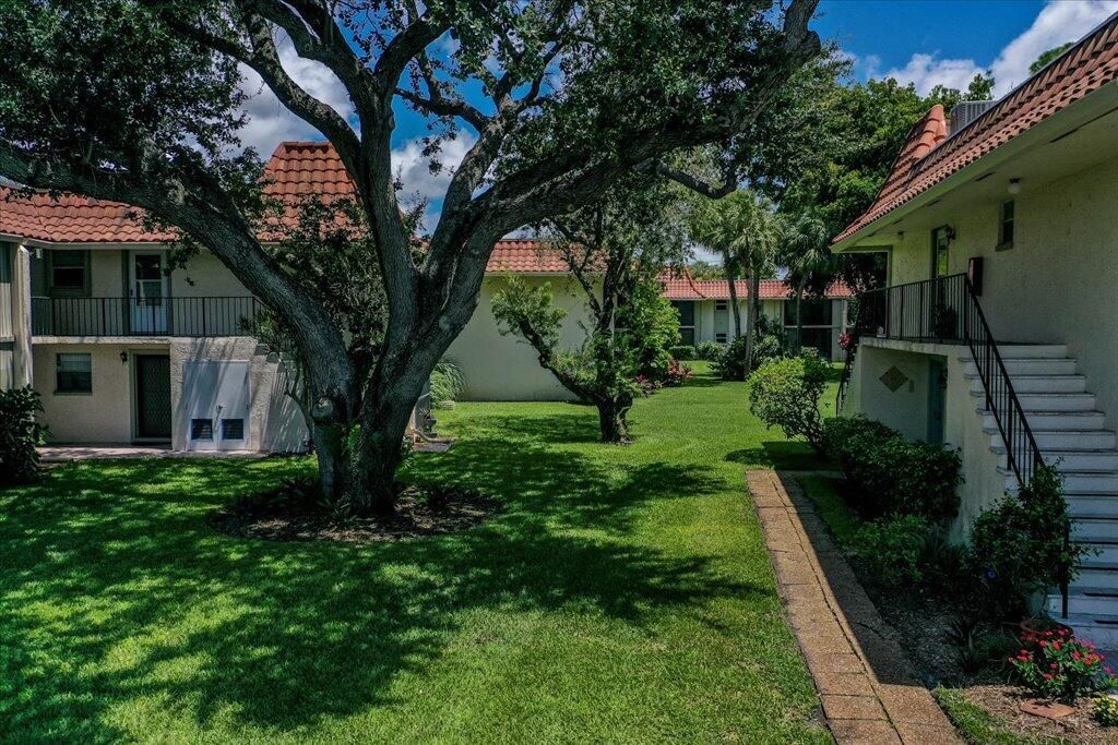 Courtyard 1