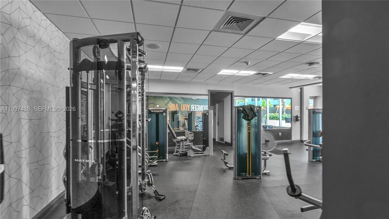 出租: $3,500 (1 贝兹, 1 浴室, 791 平方英尺)