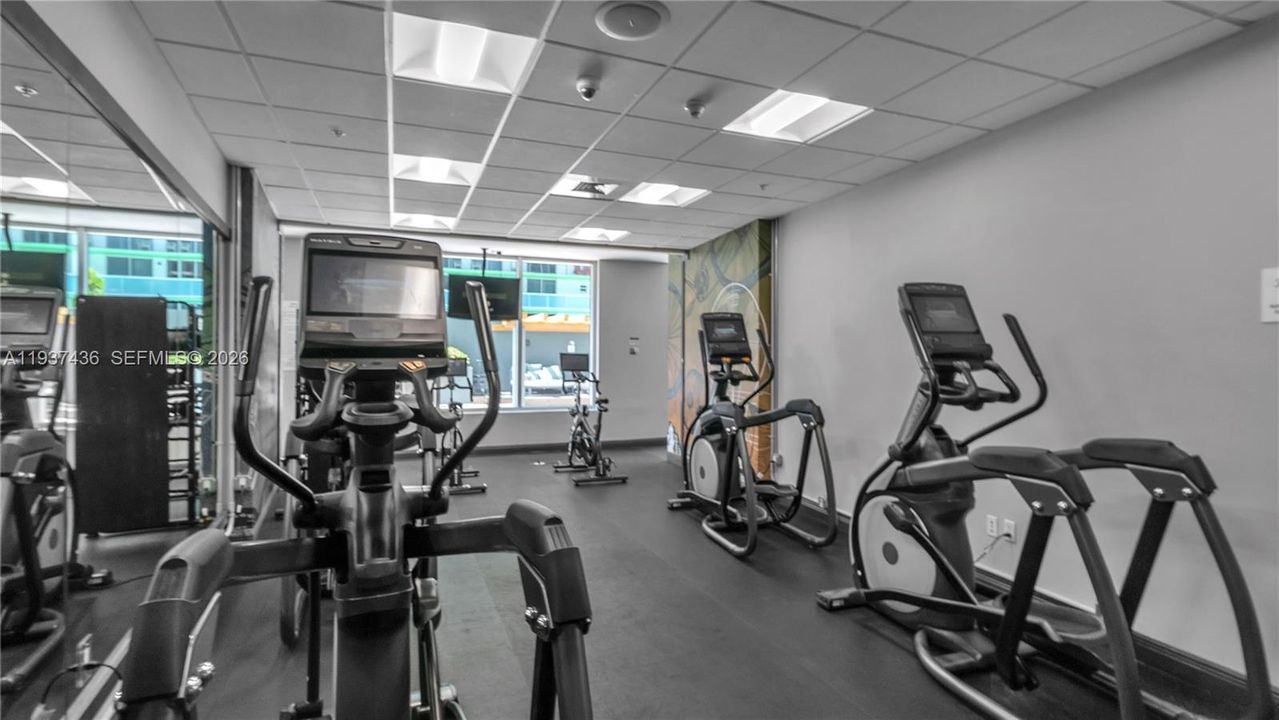 出租: $3,500 (1 贝兹, 1 浴室, 791 平方英尺)