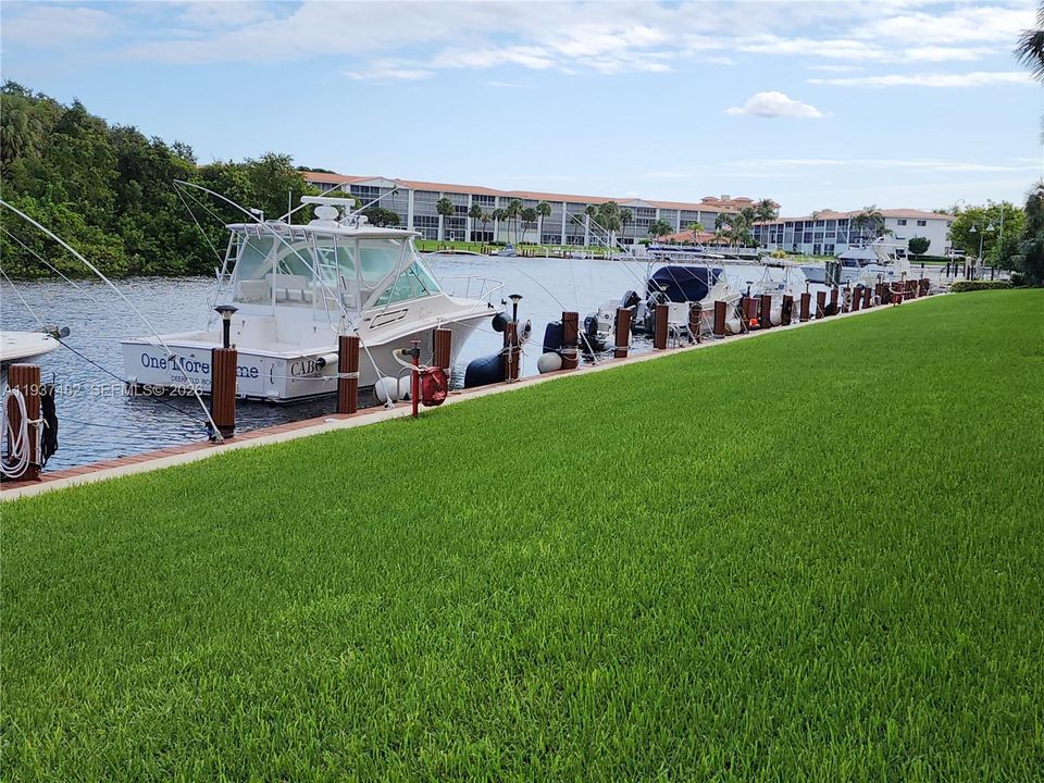 Dock on Hillsboro River