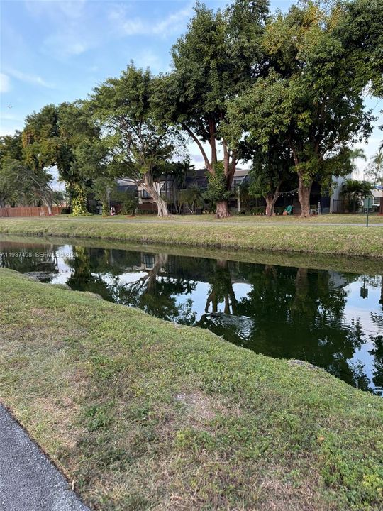 出租: $1,950 (1 贝兹, 1 浴室, 588 平方英尺)