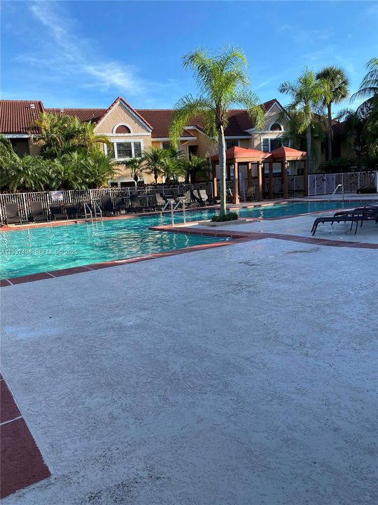 出租: $1,950 (1 贝兹, 1 浴室, 588 平方英尺)