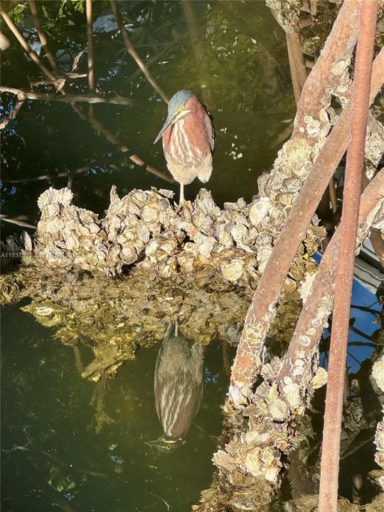 For Rent: $3,150 (2 beds, 2 baths, 1091 Square Feet)