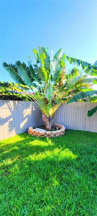 En Renta: $3,600 (3 camas, 2 baños, 1166 Pies cuadrados)