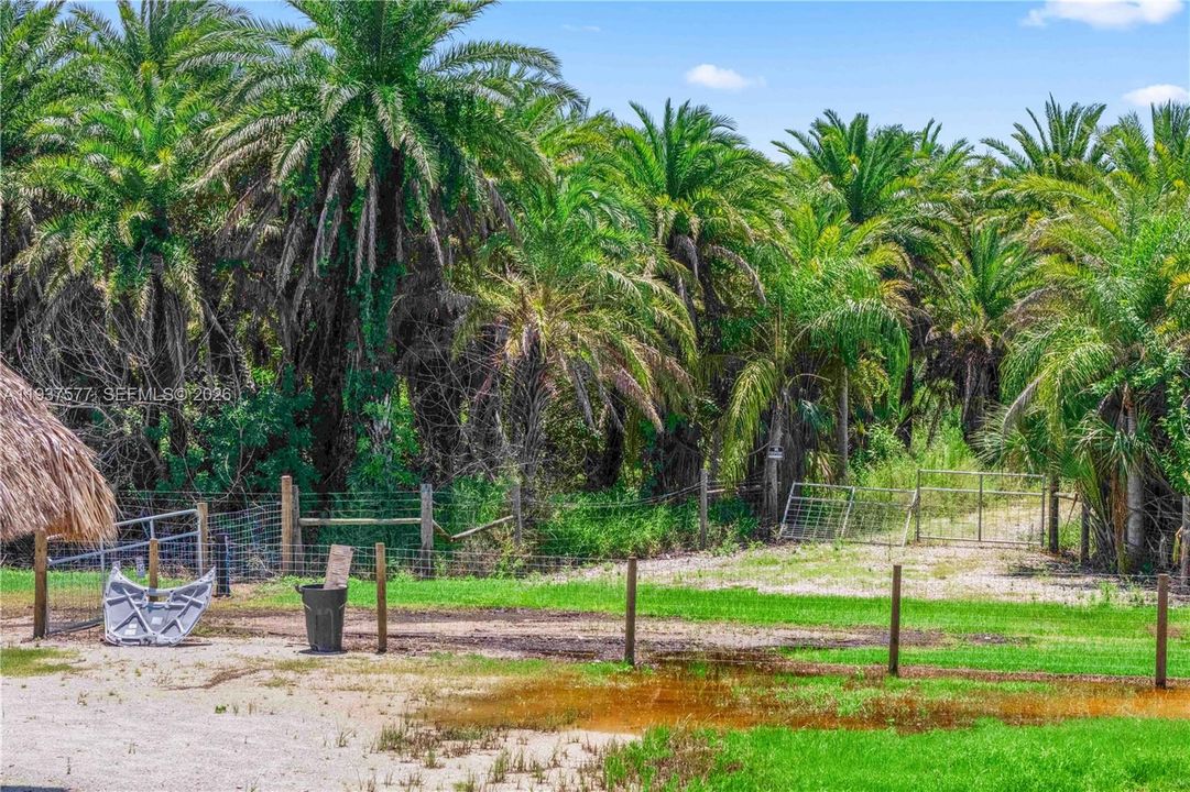 待售: $499,000 (16.50 acres)