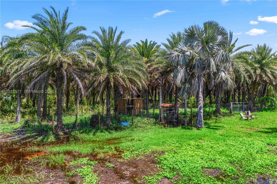 待售: $499,000 (16.50 acres)