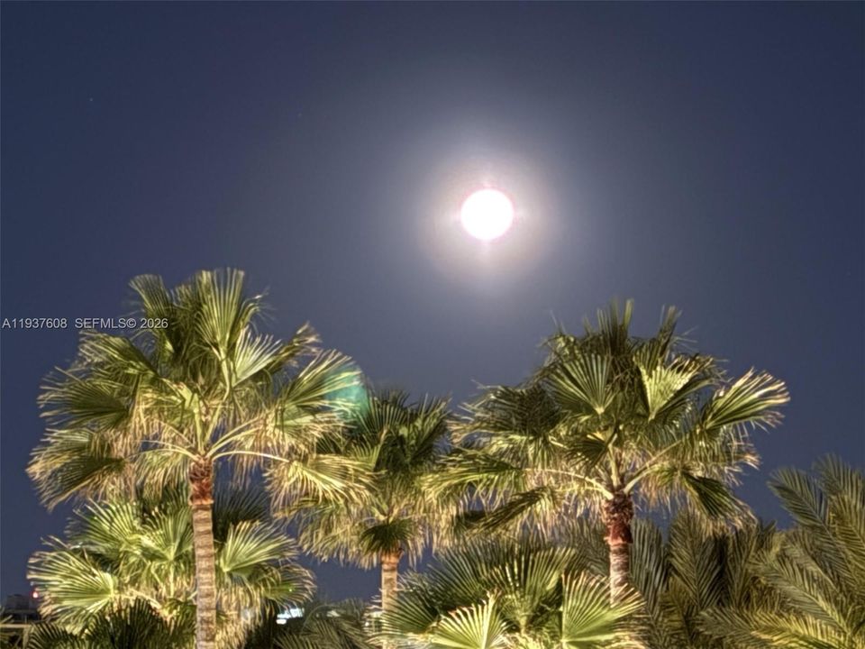 For Sale: $1,995,000 (3 beds, 3 baths, 2090 Square Feet)