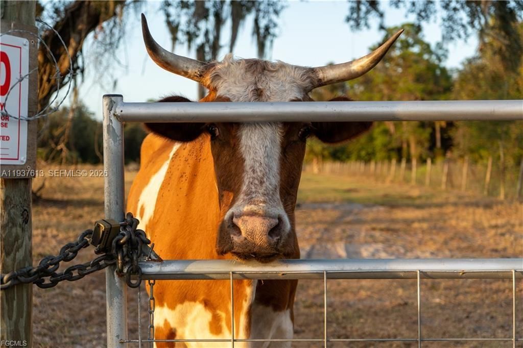 待售: $350,000 (10.00 acres)