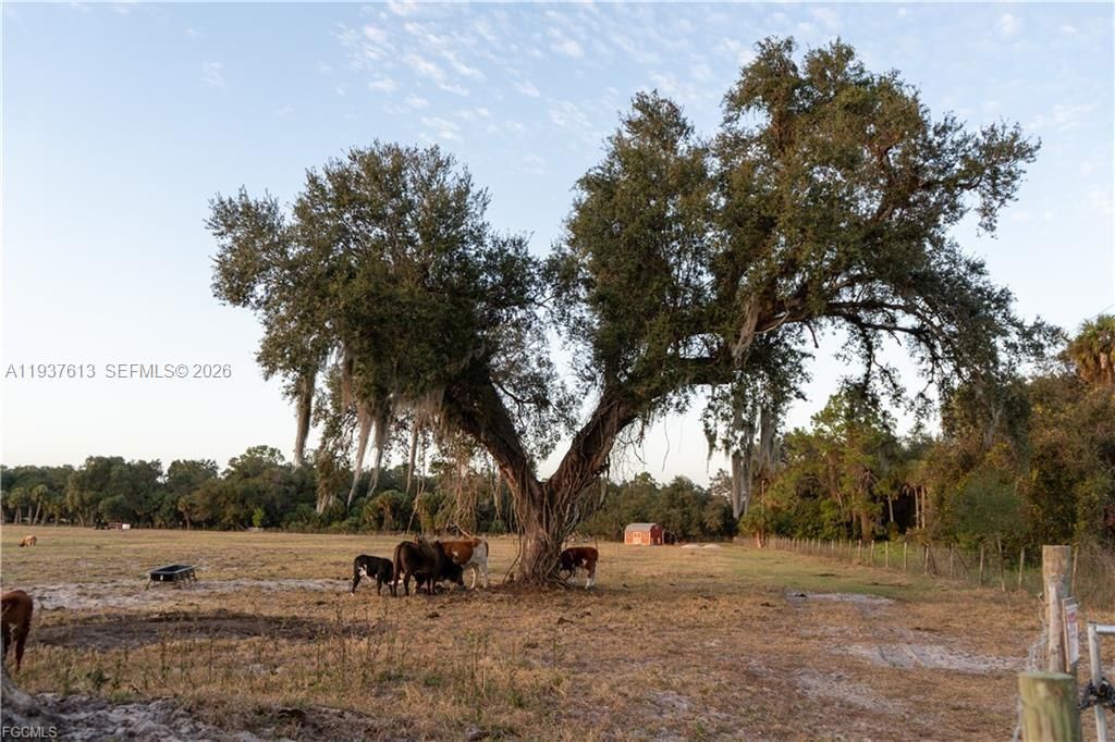 待售: $350,000 (10.00 acres)