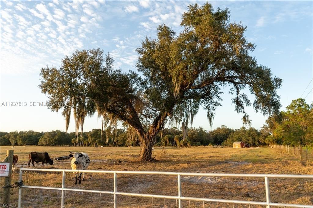 待售: $350,000 (10.00 acres)