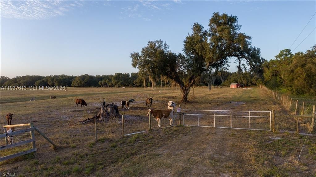 待售: $350,000 (10.00 acres)