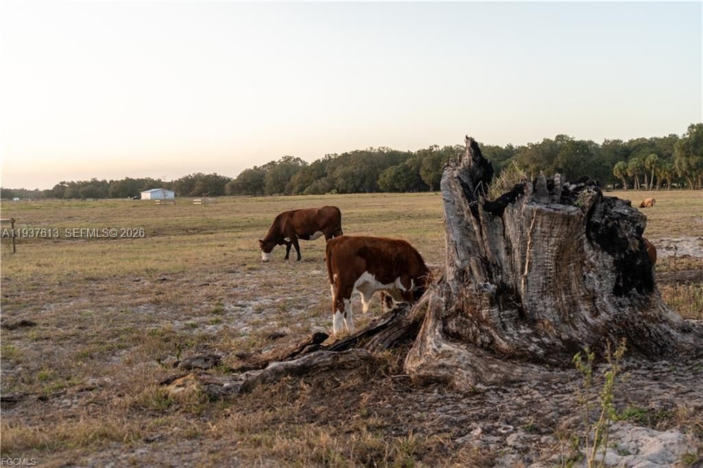 待售: $350,000 (10.00 acres)