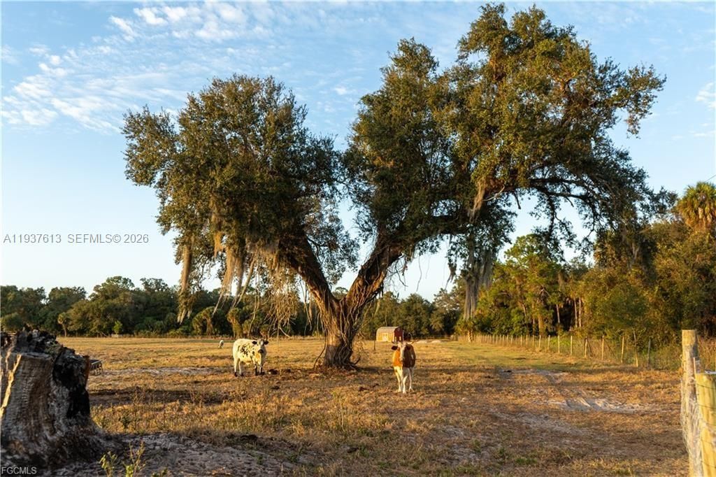 待售: $350,000 (10.00 acres)