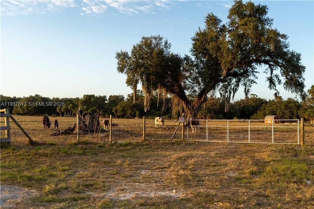 待售: $350,000 (10.00 acres)