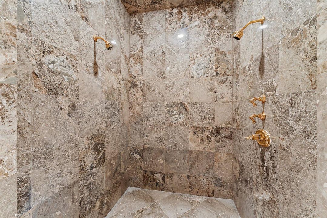 Primary Shower
