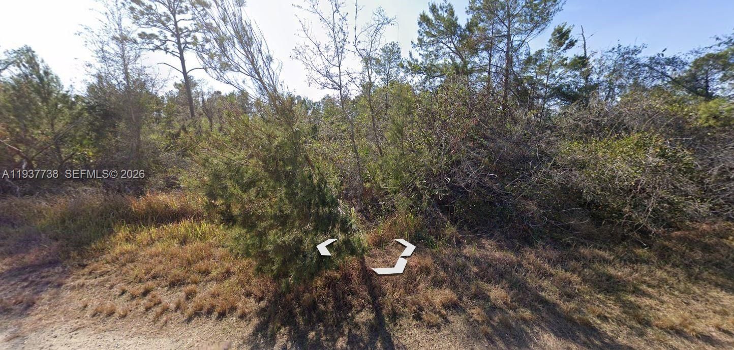 En Venta: $14,900 (0.23 acres)