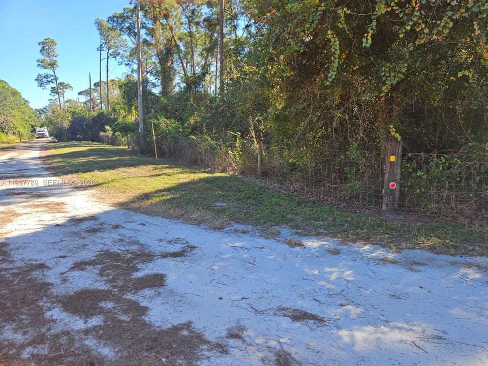 Road in front of property