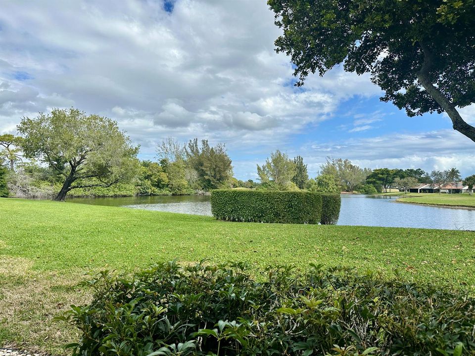 Lake view
