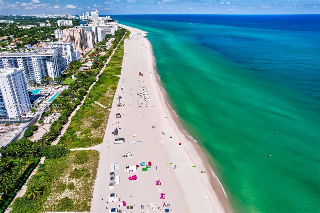 出租: $9,250 (2 贝兹, 2 浴室, 1180 平方英尺)