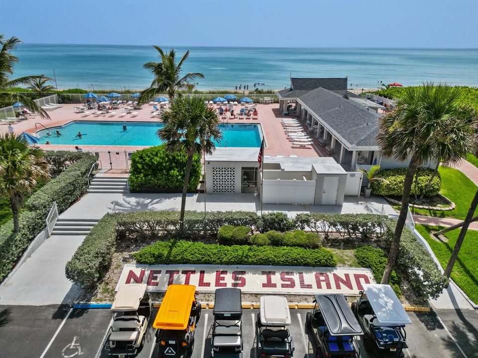 Nettles Island Ocean Side pool view from