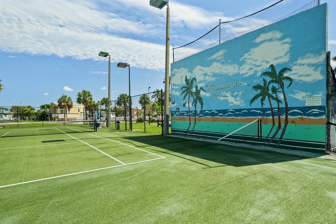 Nettles Island Tennis Court Mural