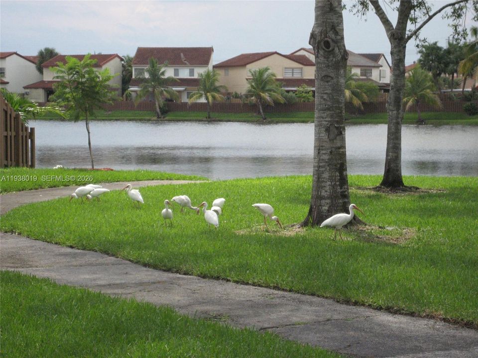 En Renta: $3,500 (4 camas, 2 baños, 2304 Pies cuadrados)