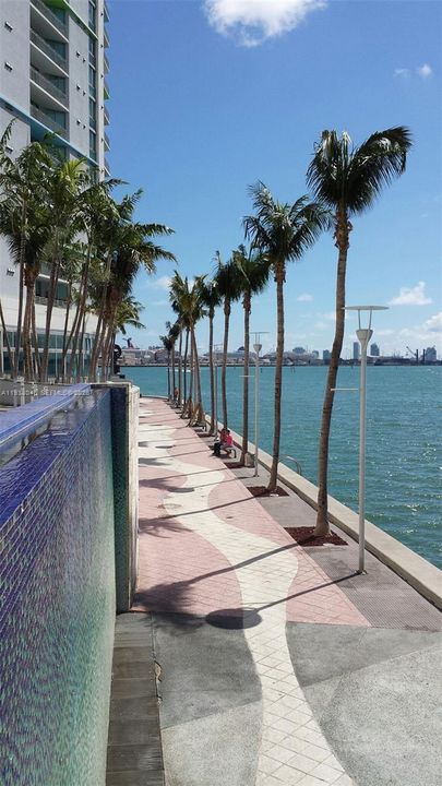 出租: $3,995 (2 贝兹, 2 浴室, 1227 平方英尺)