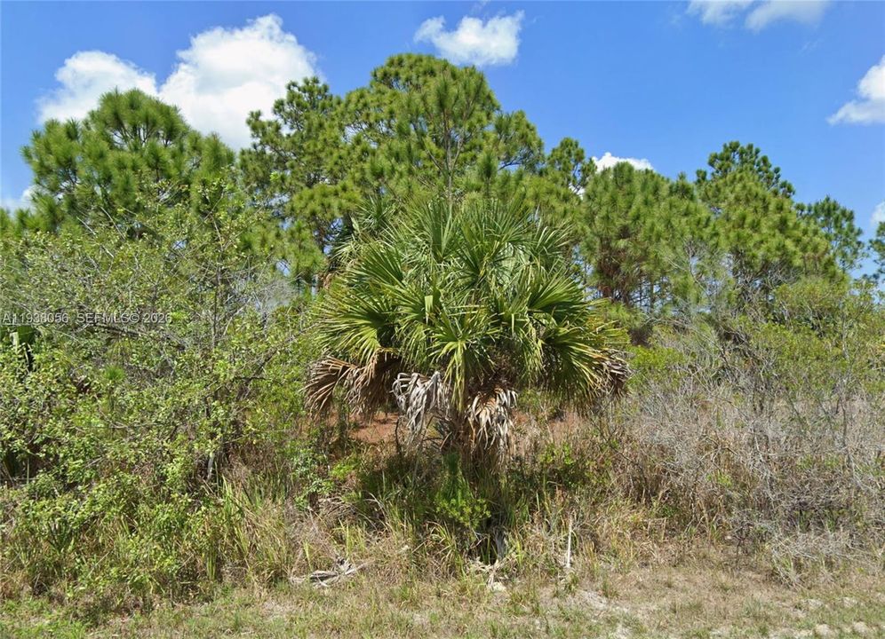 For Sale: $25,000 (0.23 acres)