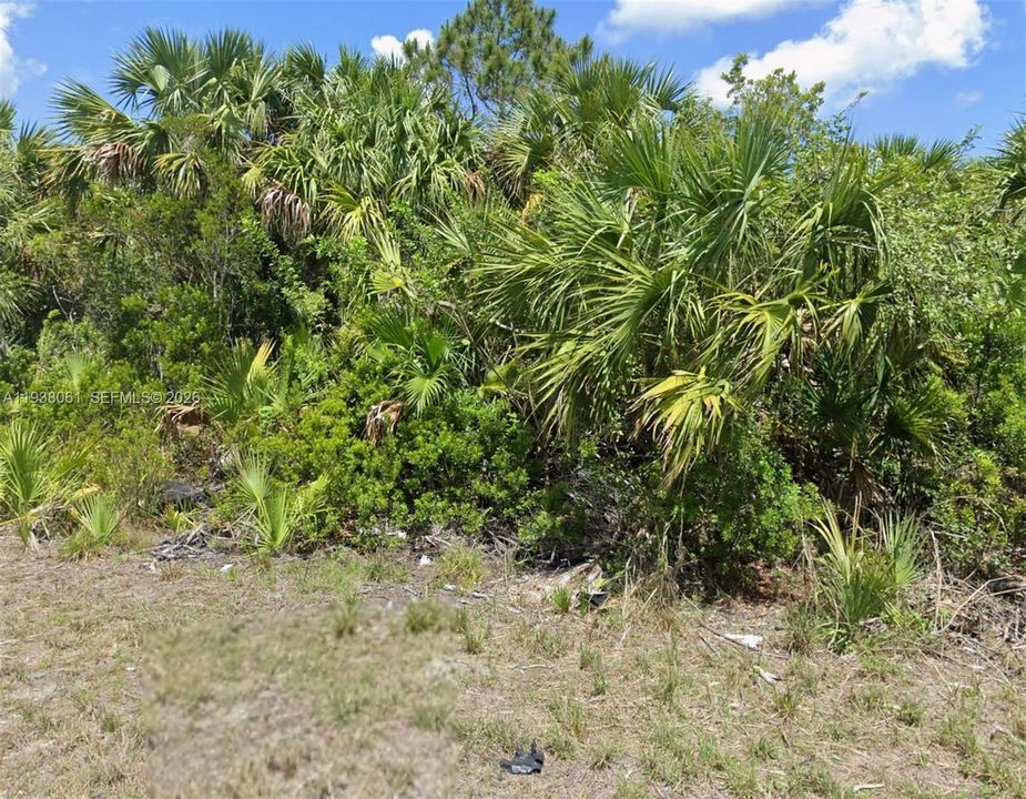 For Sale: $25,000 (0.23 acres)