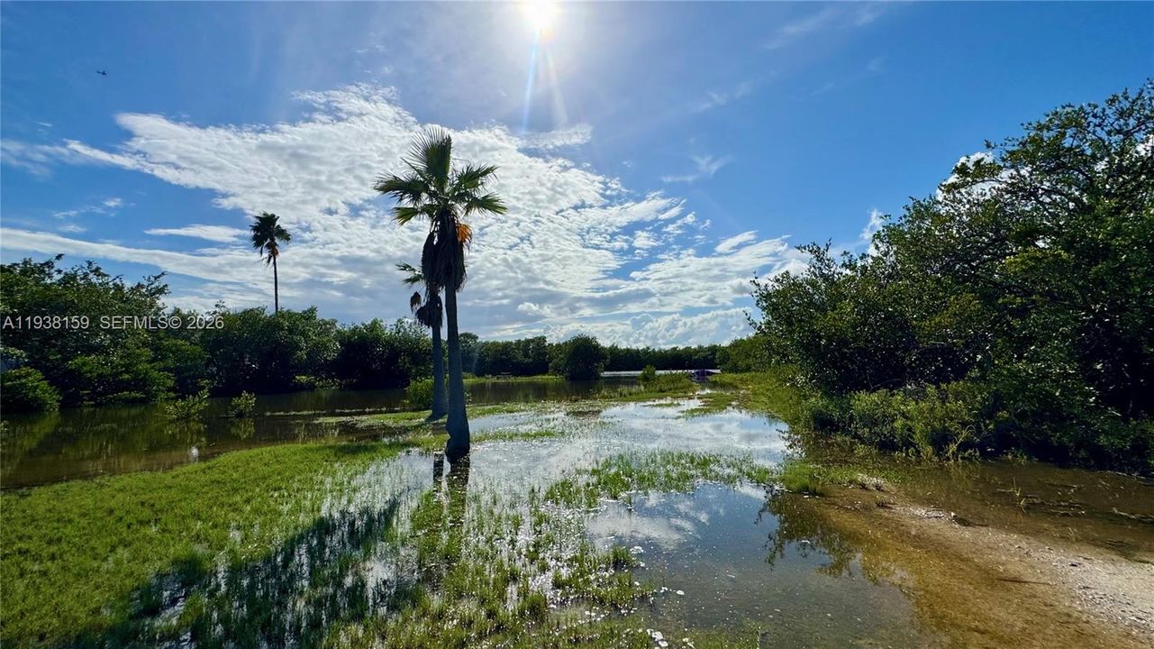 For Sale: $539,000 (3 beds, 2 baths, 1379 Square Feet)