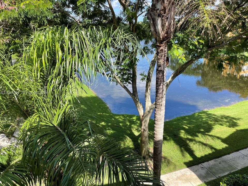 出租: $2,300 (2 贝兹, 1 浴室, 850 平方英尺)