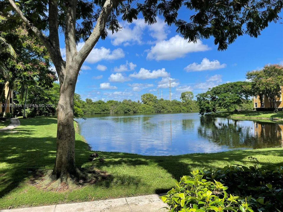 出租: $2,300 (2 贝兹, 1 浴室, 850 平方英尺)