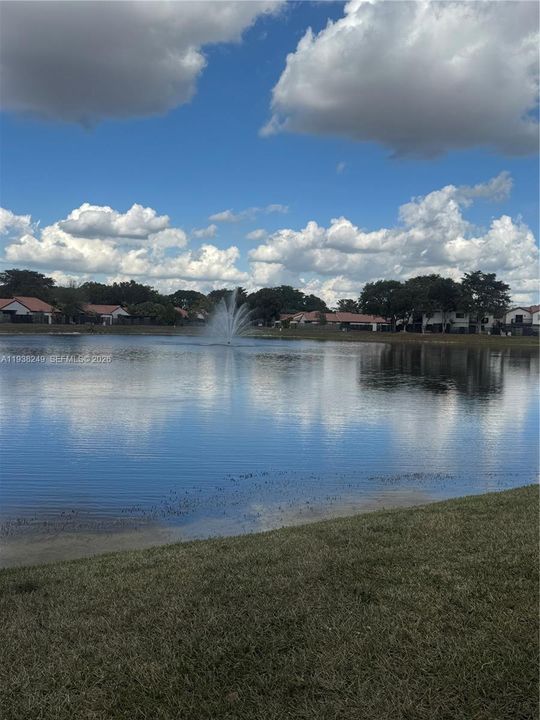 出租: $4,200 (3 贝兹, 2 浴室, 1730 平方英尺)