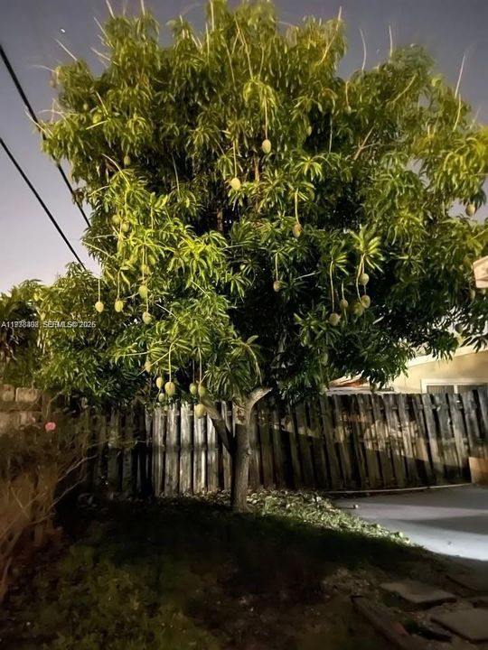 待售: $399,000 (3 贝兹, 1 浴室, 1403 平方英尺)