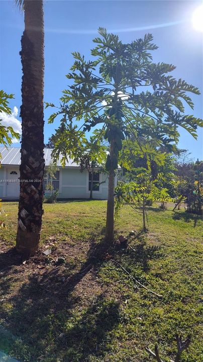 For Sale: $616,000 (3 beds, 2 baths, 1247 Square Feet)