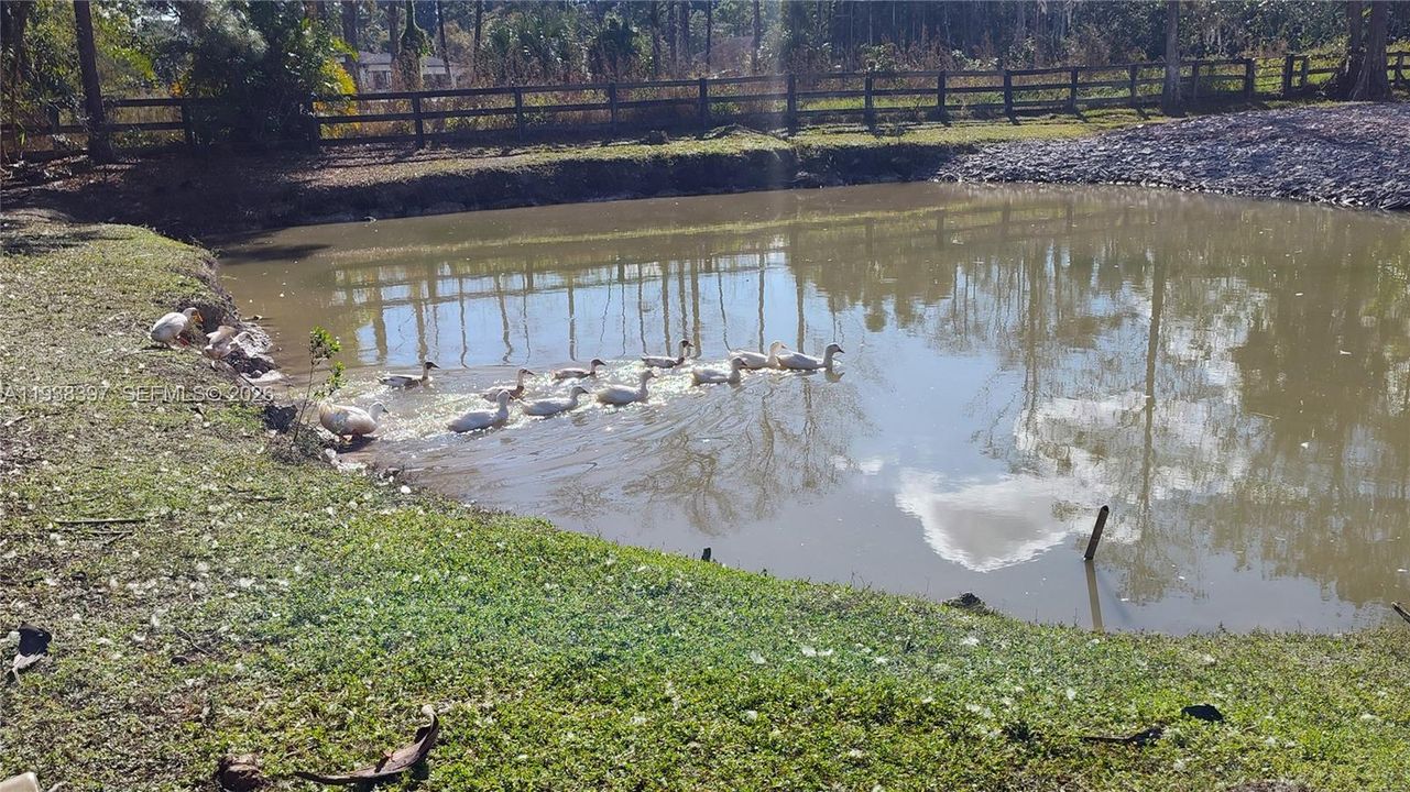 For Sale: $616,000 (3 beds, 2 baths, 1247 Square Feet)