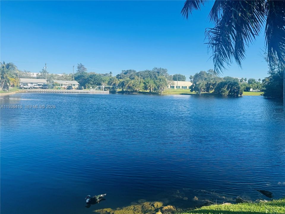 В аренду: $2,525 (2 спален, 2 ванн, 1028 Квадратных фут)