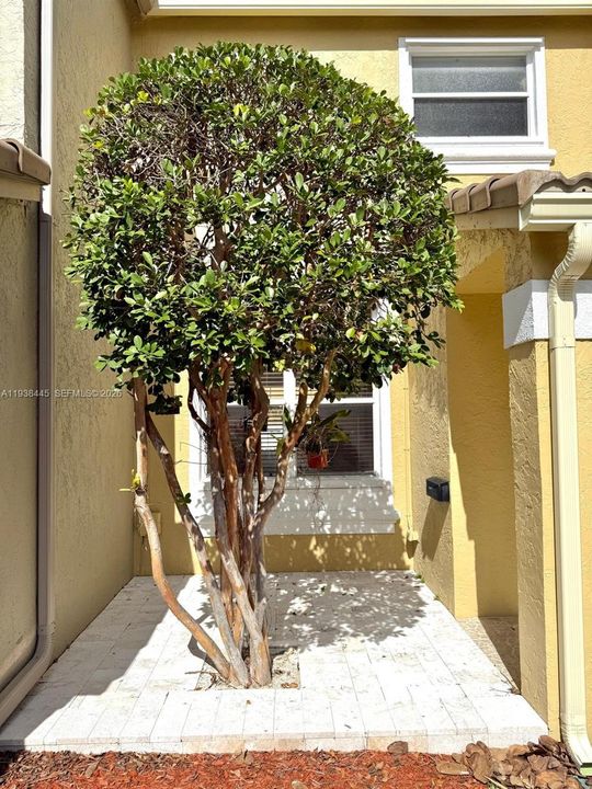 En Renta: $3,450 (3 camas, 2 baños, 1515 Pies cuadrados)