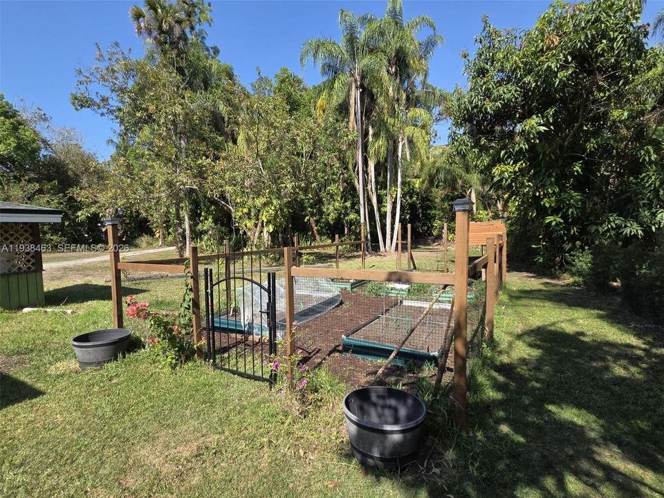 Fenced vegetable garden w 5 Raised beds