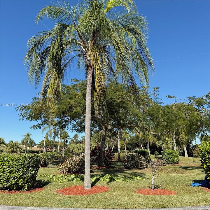 For Rent: $2,900 (3 beds, 2 baths, 1276 Square Feet)